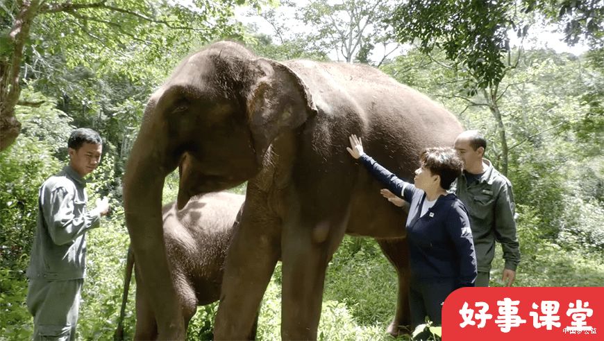 腾讯新闻“一堂公益课”圆满结业，让做好事变得有趣又有料！ 图4