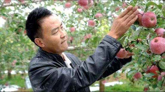 为何乡村振兴需要打造特色产业？这些村干部有话说 图3