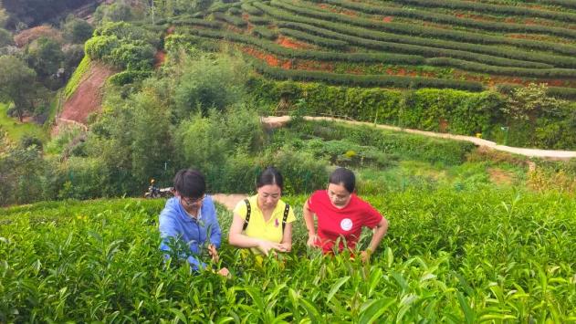 2025最美教师廖红-福建农林大学教授 图3