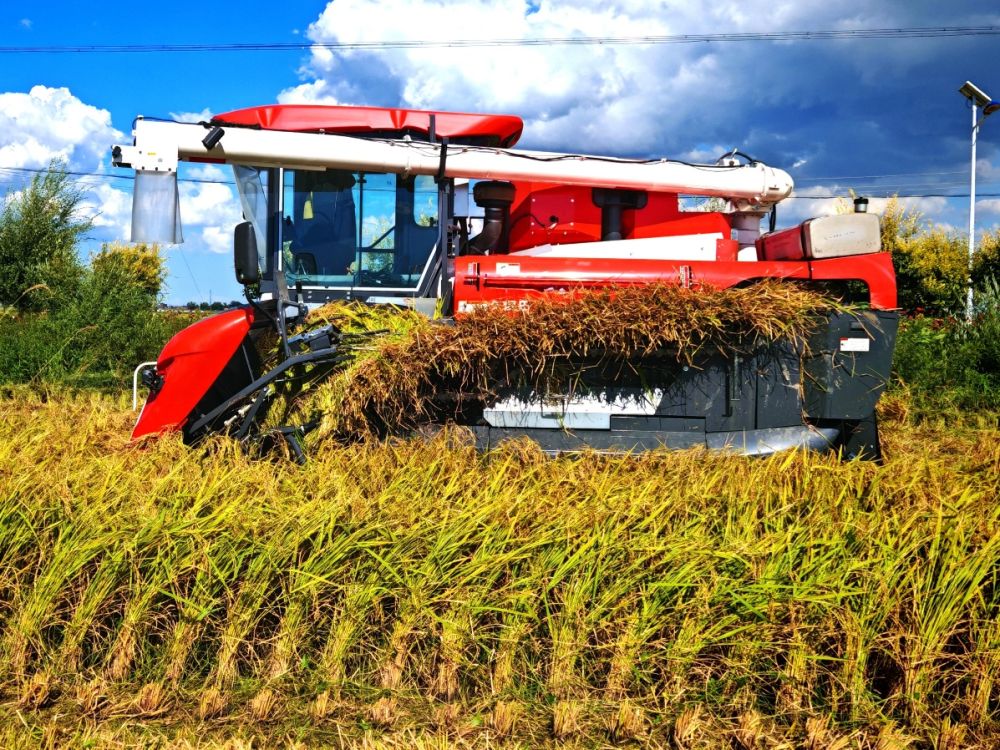 金穗摇曳映舒兰_中国三星助农添新翼 图1