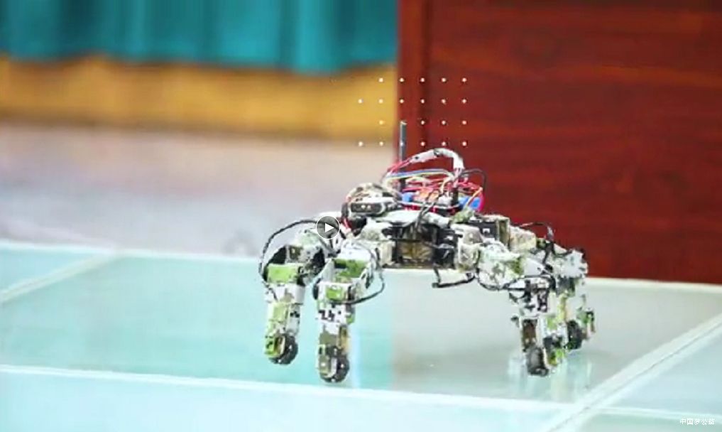 以创新为魂_这样的青年才是社会需要的中坚力量 图5