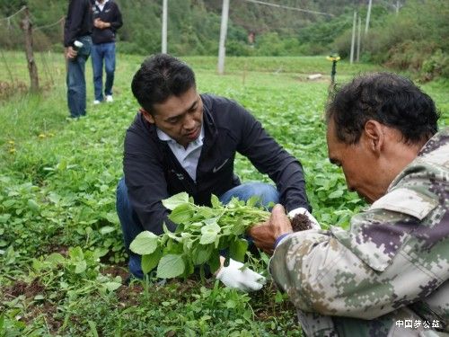 优科豪马轮胎_将老君山“流域保护地”成功经验扩展至其他地区 图2