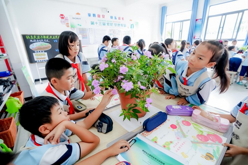 第369间“索尼_梦想教室”落地云南景谷_助力教育公益与可持续发展 图10