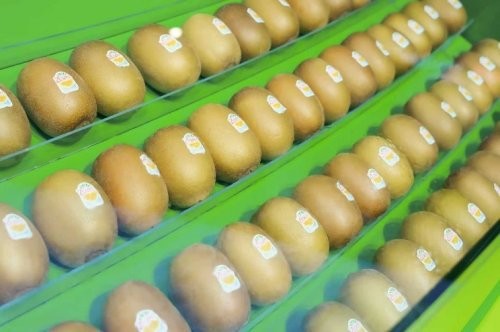 佳沛再赴进博之约，以阳光食育助力下一代健康成长 图7