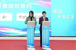 践行志愿服务精神，做好创业“引路人”