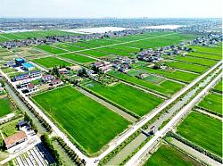 乡村振兴丨南通启东：一粒豆子致富一方百姓