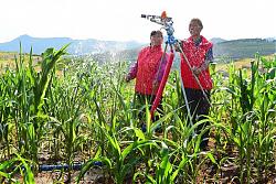 枣庄山亭区水泉镇党员志愿者助农抗旱忙